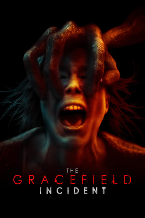 the-gracefield-incident-(2017)